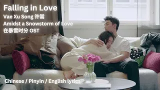 Amidst a Snowstorm of Love 在暴雪时分 - Falling in Love - Xu Song许嵩 - OST电视剧原声 - Opening片头曲 MV Eng Lyrics