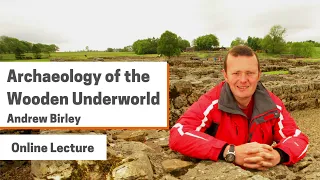 Archaeology of the Wooden Underworld