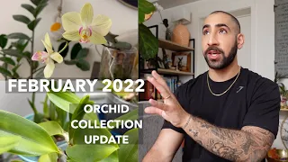 February 2022 Orchid Collection Update