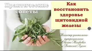 Как восстановить здоровье щитовидной железы. Практические советы