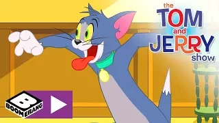 Tom și Jerry | Zile de câine | Cartoonito
