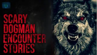 BREAKING INTO THE HOUSE - SCARY STORIES OF DOGMAN ENCOUNTERS