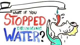 What If You Stopped Drinking Water?