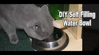 DIY Self Filling Water Bowl for Your Cat