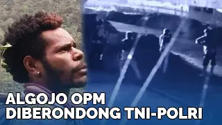 BERANI Bakar Sekolah, Algojo OPM Undius Kogoya Tersungkur Diberondong TNI Polri