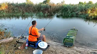 Рыбалка на ФИДЕР БЕЗ ПОНТОВ и секретов! Ловля ПОДЛЕЩИКА и ПЛОТВЫ на реке Северский Донец