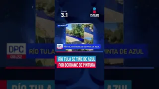 Por derrame de pintura, se tiñe de azul el río Tula | #Shorts | DPC