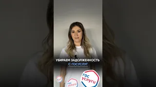 Как убрать задолженность с госуслуг