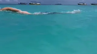 How to Swim Easy Effortless Freestyle - Ocean Walker Technique