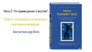 ТЕЛО ПОМНИТ ВСЕ. Часть 2. Что травма делает с мозгом? Глава 4. «Спасайся, как можешь» #аудиокнига