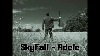 Skyfall - Adele - cover by Damian Dąbek *audio*