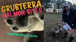 GrubTerra Salmon Snacks For Moose & Ladybug (Discount Included)