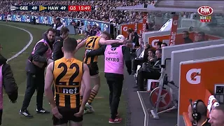 Round 17 AFL - Geelong v Hawthorn Highlights