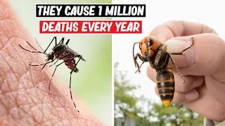 Top 10 Most Dangerous Bugs in the World