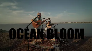 Ocean Bloom - live set at Kuyalnik estuary