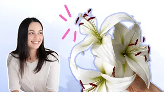 How to Make a White Asiatic Sugar Lily // Part 1