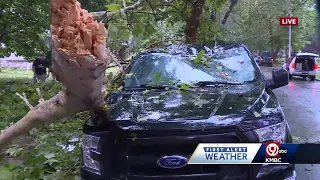 Storm leaves tree damage at Gregory, Ward Parkway in Kansas City