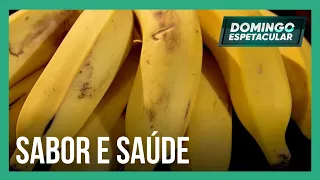 Mitos e Verdades: conheça os múltiplos benefícios da banana