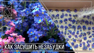 Как засушить цветы для заливки эпоксидной смолой