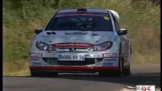 The Best of PEUGEOT 206 WRC