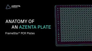 Anatomy of an Azenta PCR Microplate