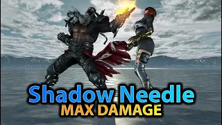 Armor King SHS1 - Shadow Needle Combos | +Max Damage