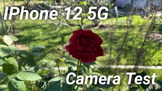 🍎 IPhone 12 5G | Daytime Camera Test