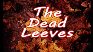 The Dead Leeves... "Tales Of Brave Ulysses" @ Nick's 2210 Roast Beef on 2-21-16 recorded by L.A.Ives