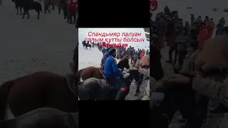 Қабыл_Спандияр👍🏻👍🏻🏇