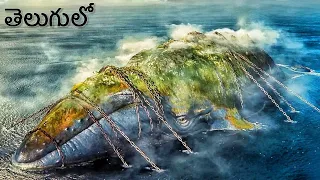 చాలా సంవత్సరాలుగా ఖైదు చేయబడిన తిమింగలం... | Best Fantasy Movie Explained | Filmy Overload