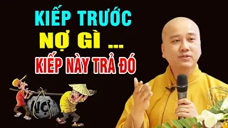 Phật Dạy KIẾP TRƯỚC NỢ GÌ KIẾP NÀY TRẢ ĐÓ, Luật Nhân Quả Không Bỏ Sót Bất Kỳ Ai _Thầy Thích Pháp Hòa