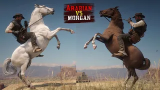 Fastest vs Slowest Horse in Red Dead Redemption 2 PC | Speed Test | Arabian vs Morgan Horse Breed