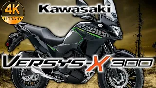 Kawasaki VersysX 300 ABS - Ficha Técnica, Precio, Análisis