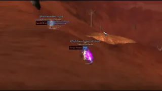 9dragons Classic. WSS farming karma on BvW