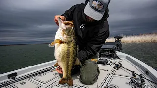 Two 14lb Bass Caught On Camera. (MUST WATCH)