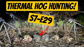 Thermal Hog Hunting South Carolina | Season 7 - Ep. 29