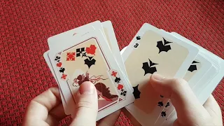 Historic Lithuanian Playing Cards (Gedimino Stulpai) unboxing