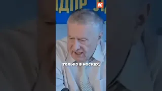 Жириновский и мужской секс