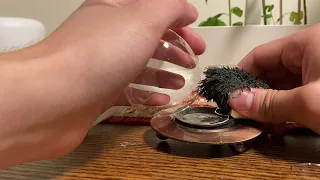 Strong Magnet Shatters Hourglass || ViralHog