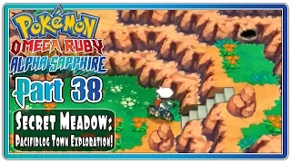 Pokemon Omega Ruby and Alpha Sapphire - Part 38: Secret Meadow & Pacifidlog Town! (FaceCam)