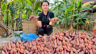 FULL VIDEO: 120 Days of Market Selling Melons, Vegetables, Potatoes, Bananas & Pet Care - Gardening