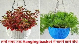 5-10 सालों के लिए तैयार करे Permanent Hanging basket | Name of plants to grow in Hanging basket