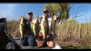 The Secret To This Topwater Technique That No One Wants You To Know (Gambler Big EZ)