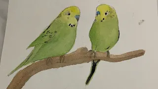 How to paint watercolor birds ||Harshi n Akira ||