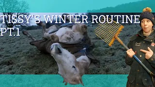 My Horse's Winter Morning Routine (Part 1) - Vlog 64 - Beth Endurance