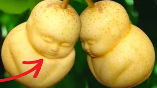 AS FRUTAS MAIS RARAS E ÚNICAS DO PLANETA QUE VOCÊ NUNCA VIU NEM OUVIU FALAR - DOCUMENTÁRIO DUBLADO