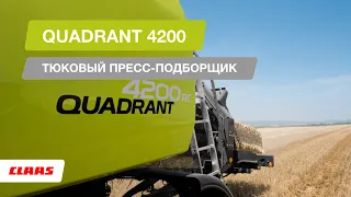 CLAAS QUADRANT 4200. Тюковый пресс-подборщик