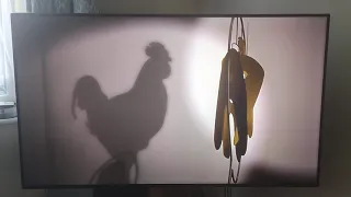 Opening to Chicken Run 2000 UK DVD