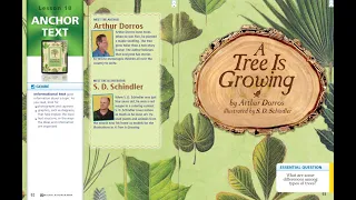 Journeys Lesson 18 for Third Grade: A Tree is Growing