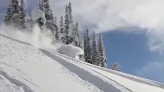 Families & Powder Skiing in Revelstoke